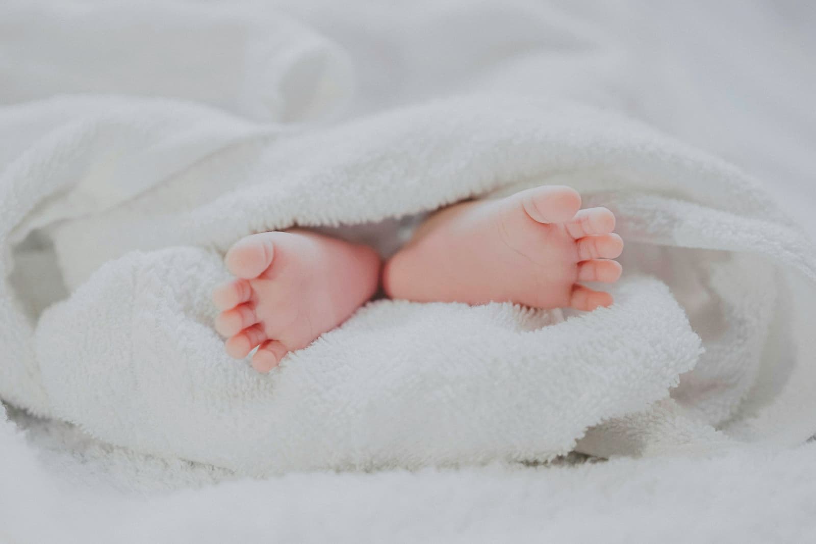 Newborn baby feet wrapped in a soft white blanket